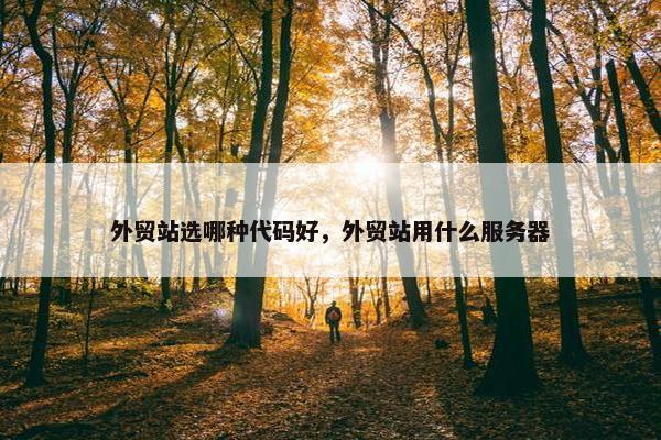 外贸站选哪种代码好，外贸站用什么服务器