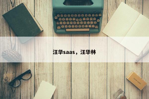 汪华saas，汪华林