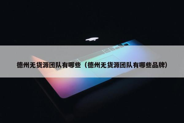 德州无货源团队有哪些（德州无货源团队有哪些品牌）