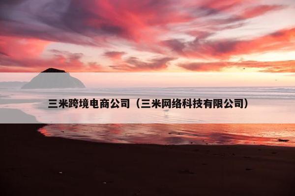 三米跨境电商公司（三米网络科技有限公司）