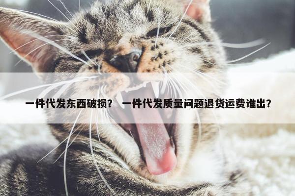 一件代发东西破损？ 一件代发质量问题退货运费谁出？
