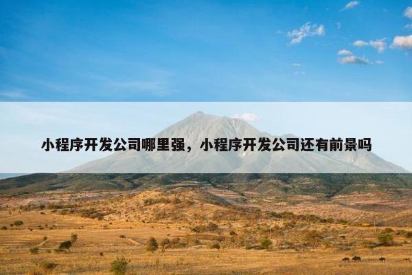小程序开发公司哪里强，小程序开发公司还有前景吗