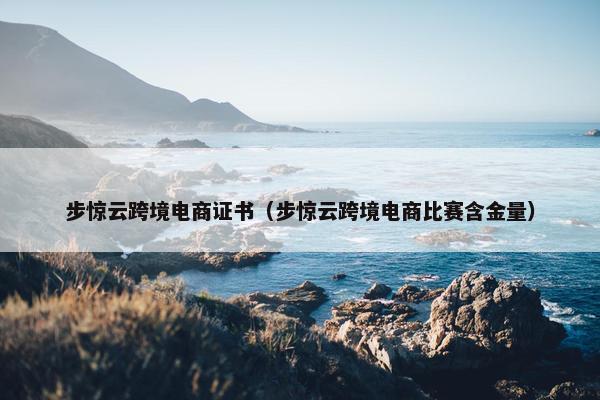 步惊云跨境电商证书（步惊云跨境电商比赛含金量）