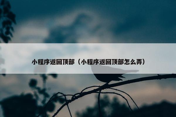 小程序返回顶部（小程序返回顶部怎么弄）