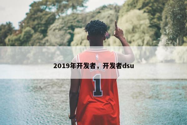 2019年开发者，开发者dsu