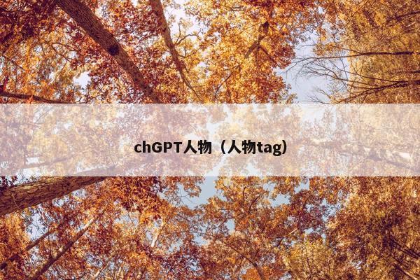 chGPT人物（人物tag）