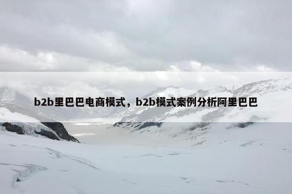 b2b里巴巴电商模式，b2b模式案例分析阿里巴巴