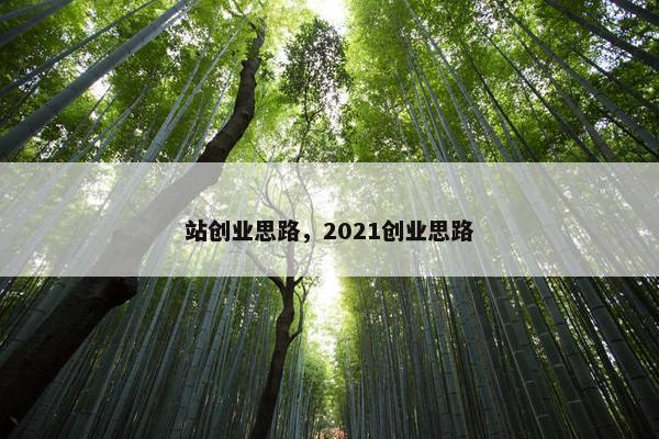 站创业思路，2021创业思路