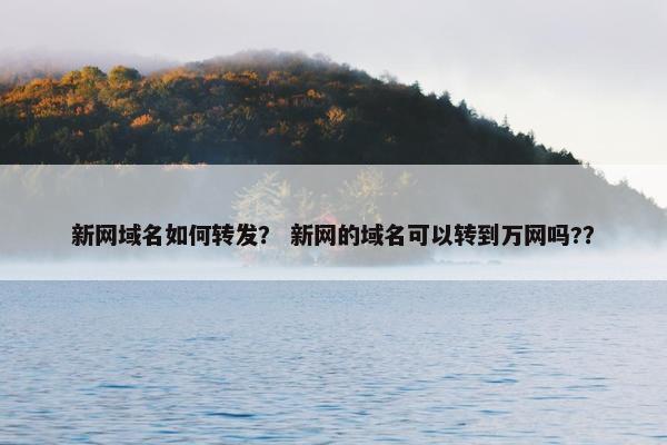 新网域名如何转发？ 新网的域名可以转到万网吗?？