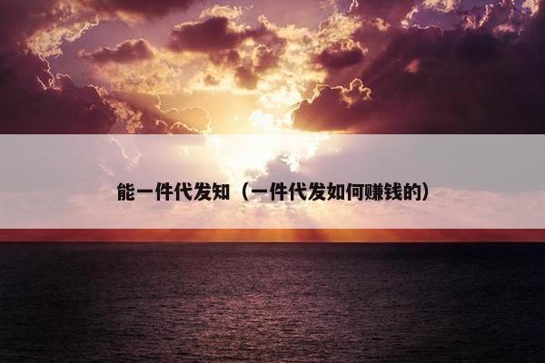 能一件代发知（一件代发如何赚钱的）