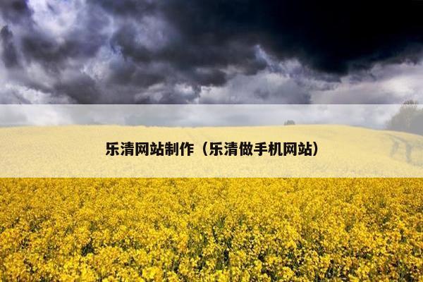 乐清网站制作（乐清做手机网站）