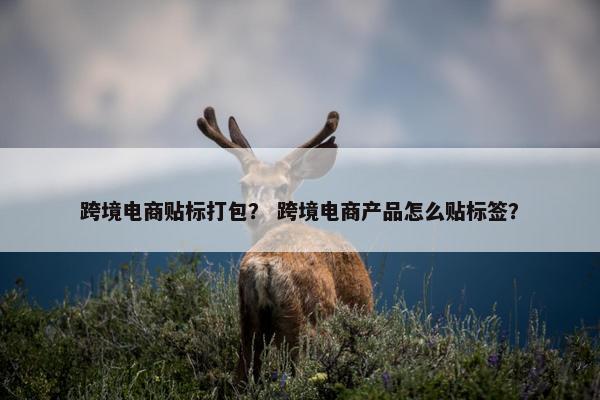 跨境电商贴标打包？ 跨境电商产品怎么贴标签？