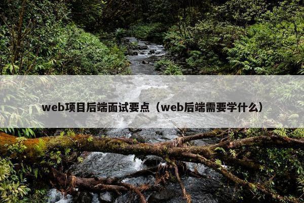 web项目后端面试要点（web后端需要学什么）