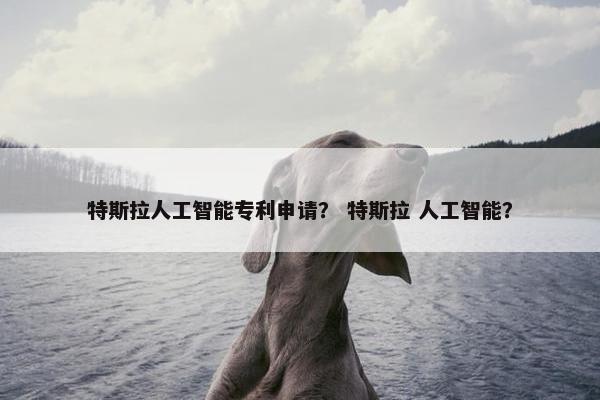 特斯拉人工智能专利申请？ 特斯拉 人工智能？