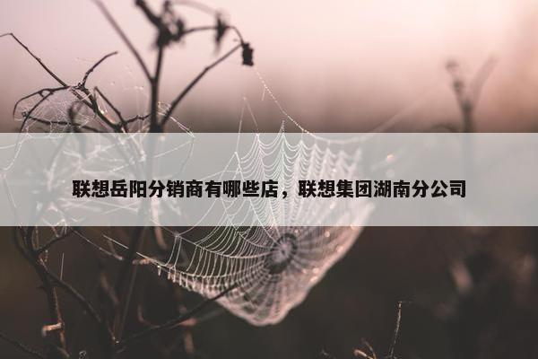 联想岳阳分销商有哪些店，联想集团湖南分公司