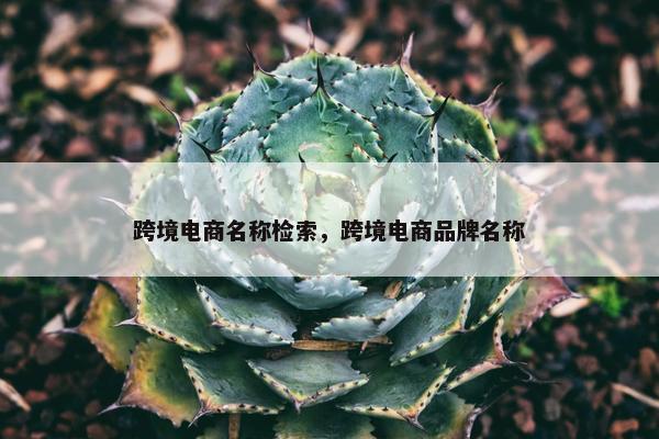 跨境电商名称检索，跨境电商品牌名称