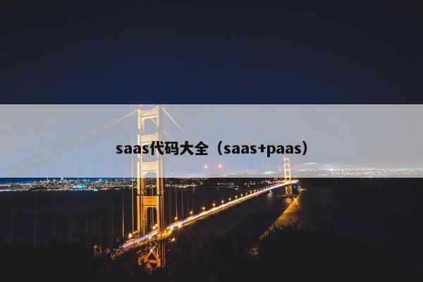 saas代码大全（saas+paas）