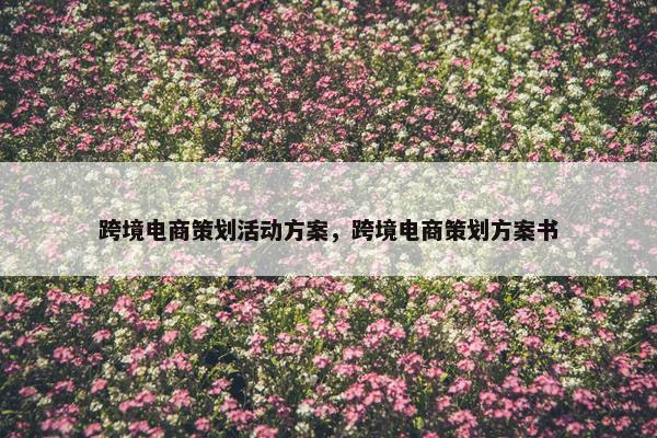 跨境电商策划活动方案，跨境电商策划方案书