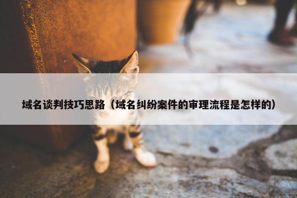 域名谈判技巧思路（域名纠纷案件的审理流程是怎样的）