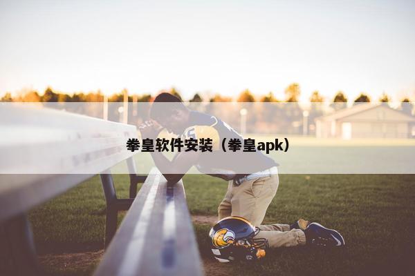 拳皇软件安装（拳皇apk）