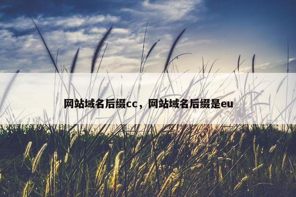 网站域名后缀cc，网站域名后缀是eu