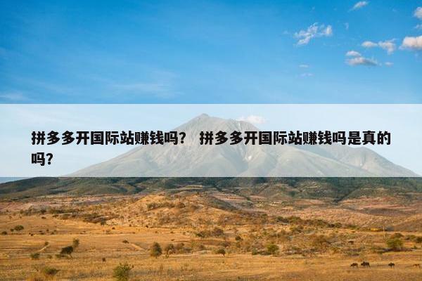 拼多多开国际站赚钱吗？ 拼多多开国际站赚钱吗是真的吗？
