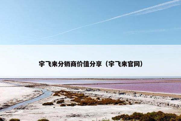 宇飞来分销商价值分享（宇飞来官网）