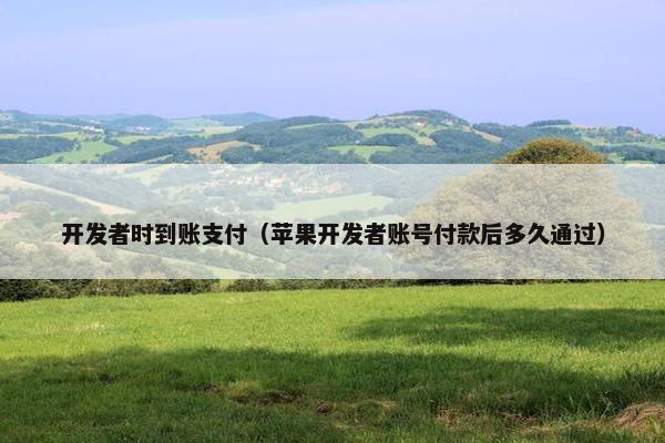 开发者时到账支付（苹果开发者账号付款后多久通过）