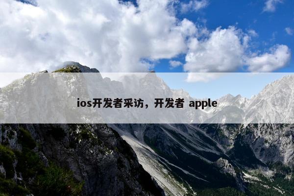 ios开发者采访，开发者 apple