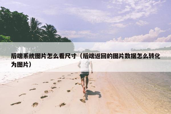 后端系统图片怎么看尺寸（后端返回的图片数据怎么转化为图片）