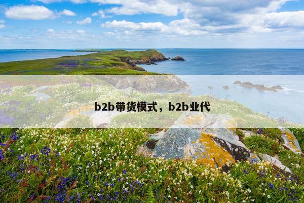 b2b带货模式，b2b业代