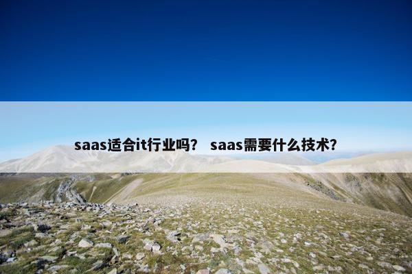 saas适合it行业吗？ saas需要什么技术？