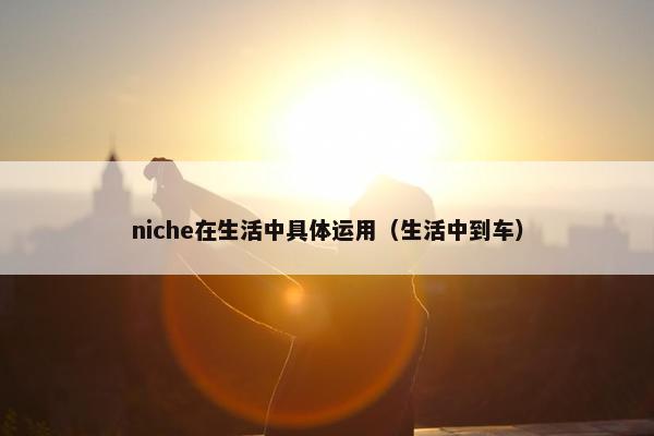 niche在生活中具体运用（生活中到车）