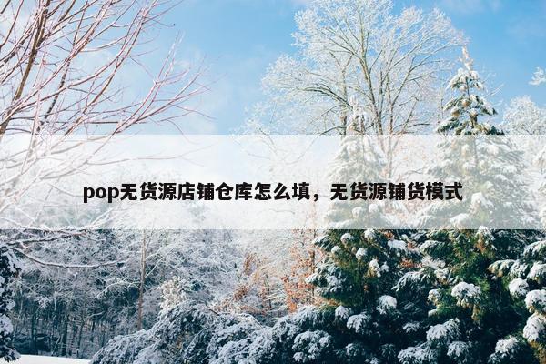 pop无货源店铺仓库怎么填，无货源铺货模式