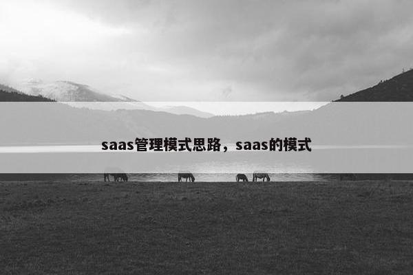 saas管理模式思路，saas的模式