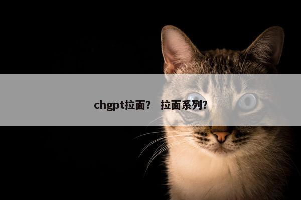 chgpt拉面？ 拉面系列？