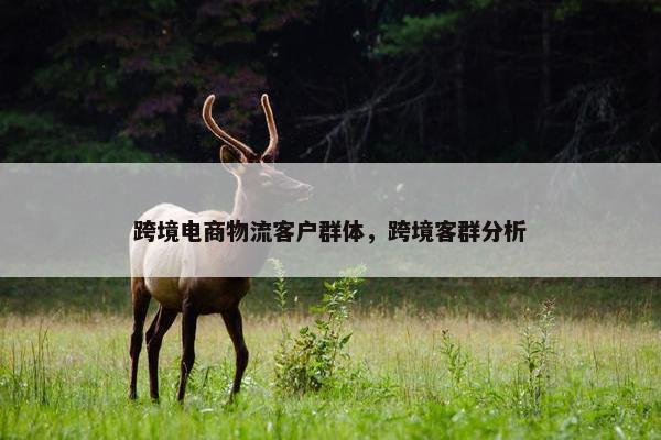 跨境电商物流客户群体，跨境客群分析