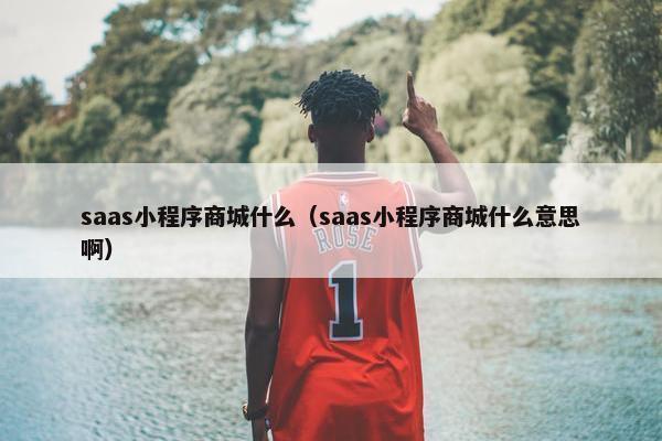 saas小程序商城什么（saas小程序商城什么意思啊）