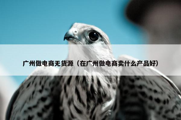 广州做电商无货源（在广州做电商卖什么产品好）