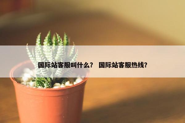 国际站客服叫什么？ 国际站客服热线？
