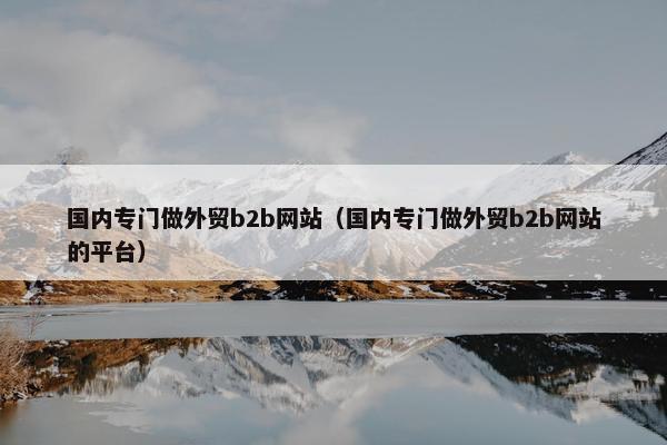 国内专门做外贸b2b网站（国内专门做外贸b2b网站的平台）