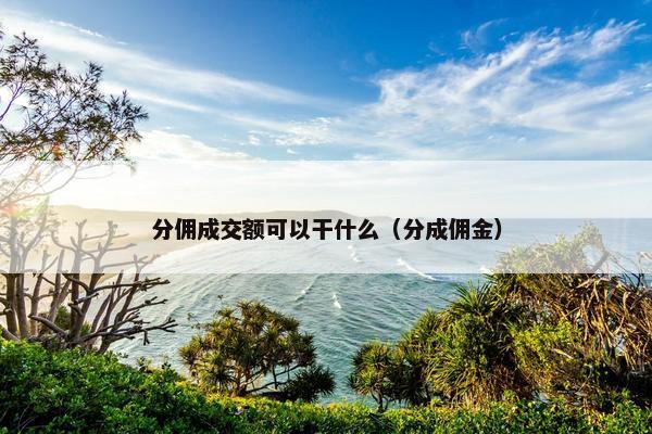 分佣成交额可以干什么（分成佣金）