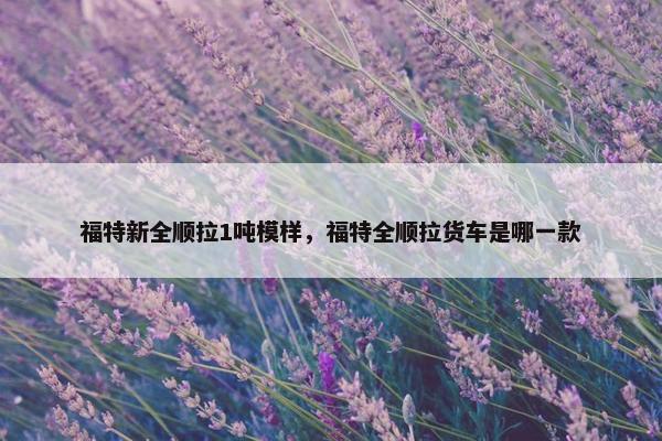 福特新全顺拉1吨模样，福特全顺拉货车是哪一款