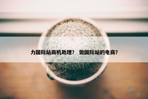 力国际站商机助理？ 做国际站的电商？