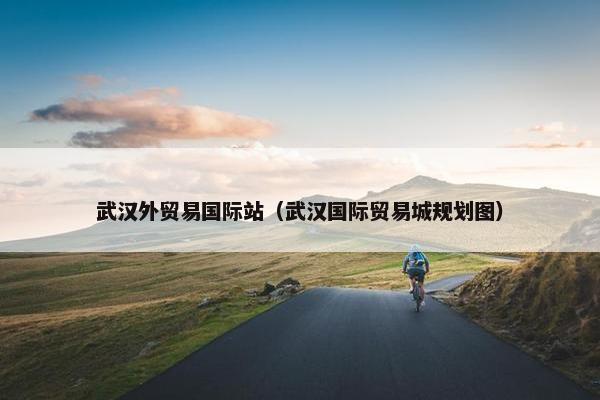 武汉外贸易国际站（武汉国际贸易城规划图）