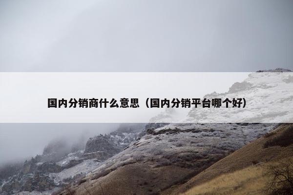国内分销商什么意思（国内分销平台哪个好）