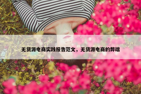 无货源电商实践报告范文，无货源电商的弊端