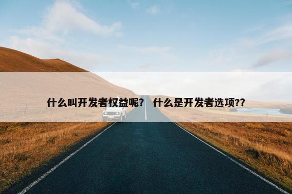什么叫开发者权益呢？ 什么是开发者选项?？
