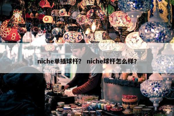 niche单插球杆？ niche球杆怎么样？