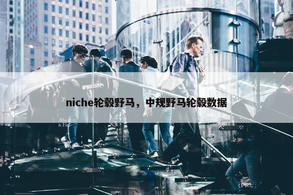 niche轮毂野马，中规野马轮毂数据